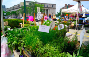 The Everson Museum of Art will host the Syracuse City Market and Paint & Pour over the weekend. 