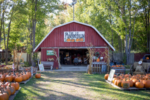  Fall festivals and Halloween themed walks offer Syracuse community the chance to take in the season.